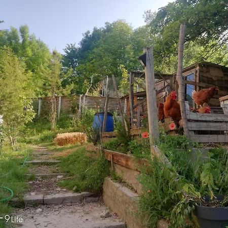 La Cabane Des Trappeurs Crépy-en-Valois Buitenkant foto