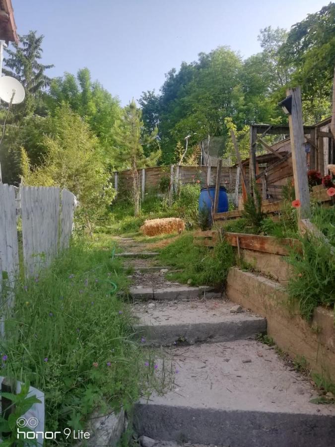 La Cabane Des Trappeurs Crépy-en-Valois Buitenkant foto