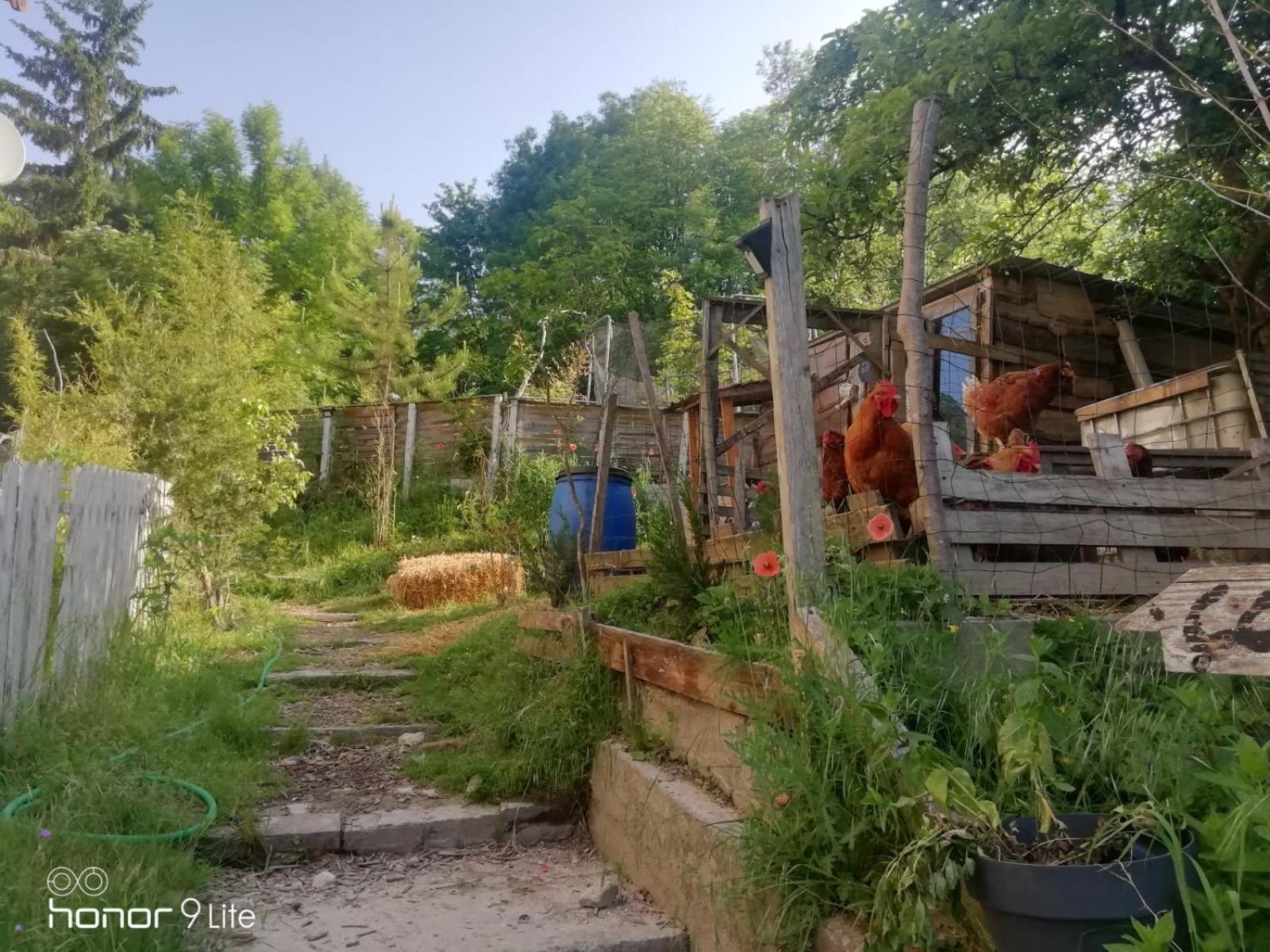 La Cabane Des Trappeurs Crépy-en-Valois Buitenkant foto